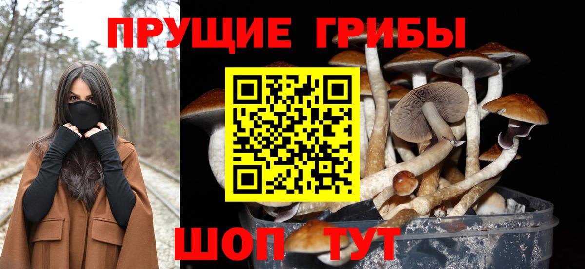 Самара  Псилоцибиновые грибы GOLDEN TEACHER  Вход с VPN 
